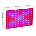 800w SMD LED rouge bleu élèvent la lumière